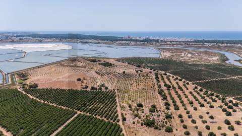 Propriedade exclusiva no Algarve, 22,5 hectares, junto ao Verdelago Resort, com vistas sem limites 