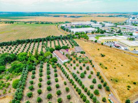 Propriedade única em Beja
