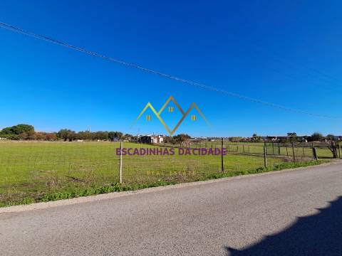 Viva no Montijo. Viva nas Casas da Broega.