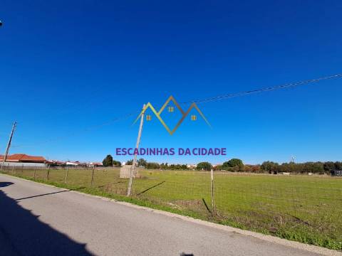 Viva no Montijo. Viva nas Casas da Broega.