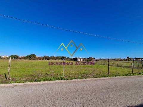 Viva no Montijo. Viva nas Casas da Broega.