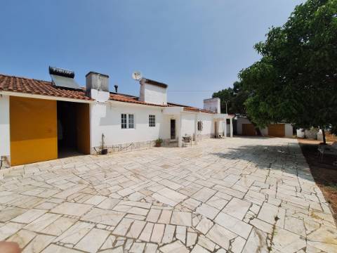 Quinta T4