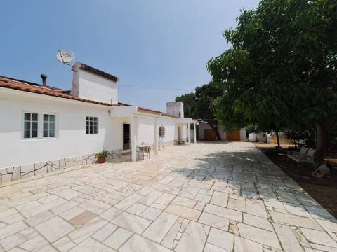 Quinta T4