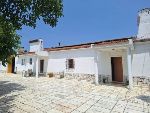 Quinta T4
