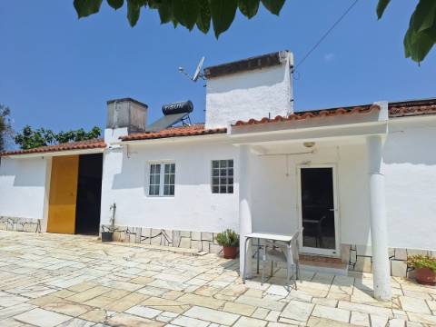 Quinta T4