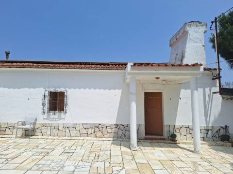 Quinta T4