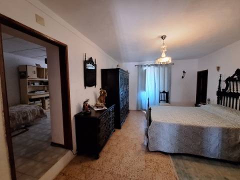 Quinta T4