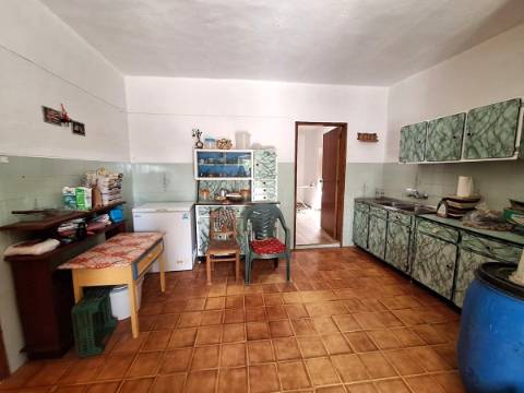 Quinta T4