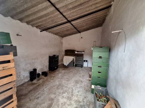 Quinta T4