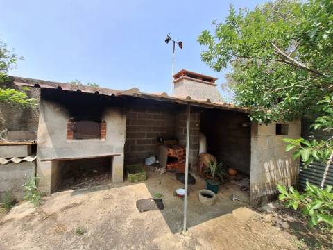 Quinta T4