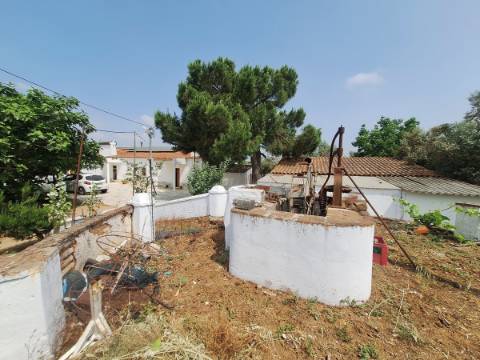 Quinta T4