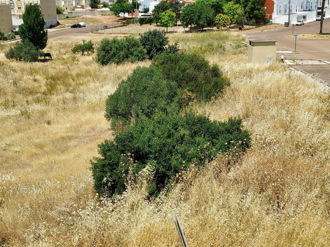 Lote de Terreno para Construção