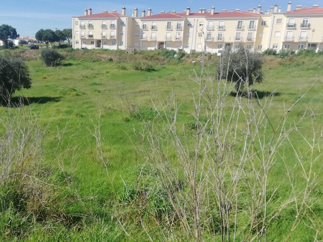 Lote de Terreno para Construção