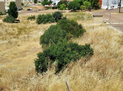 Lote de Terreno para Construção