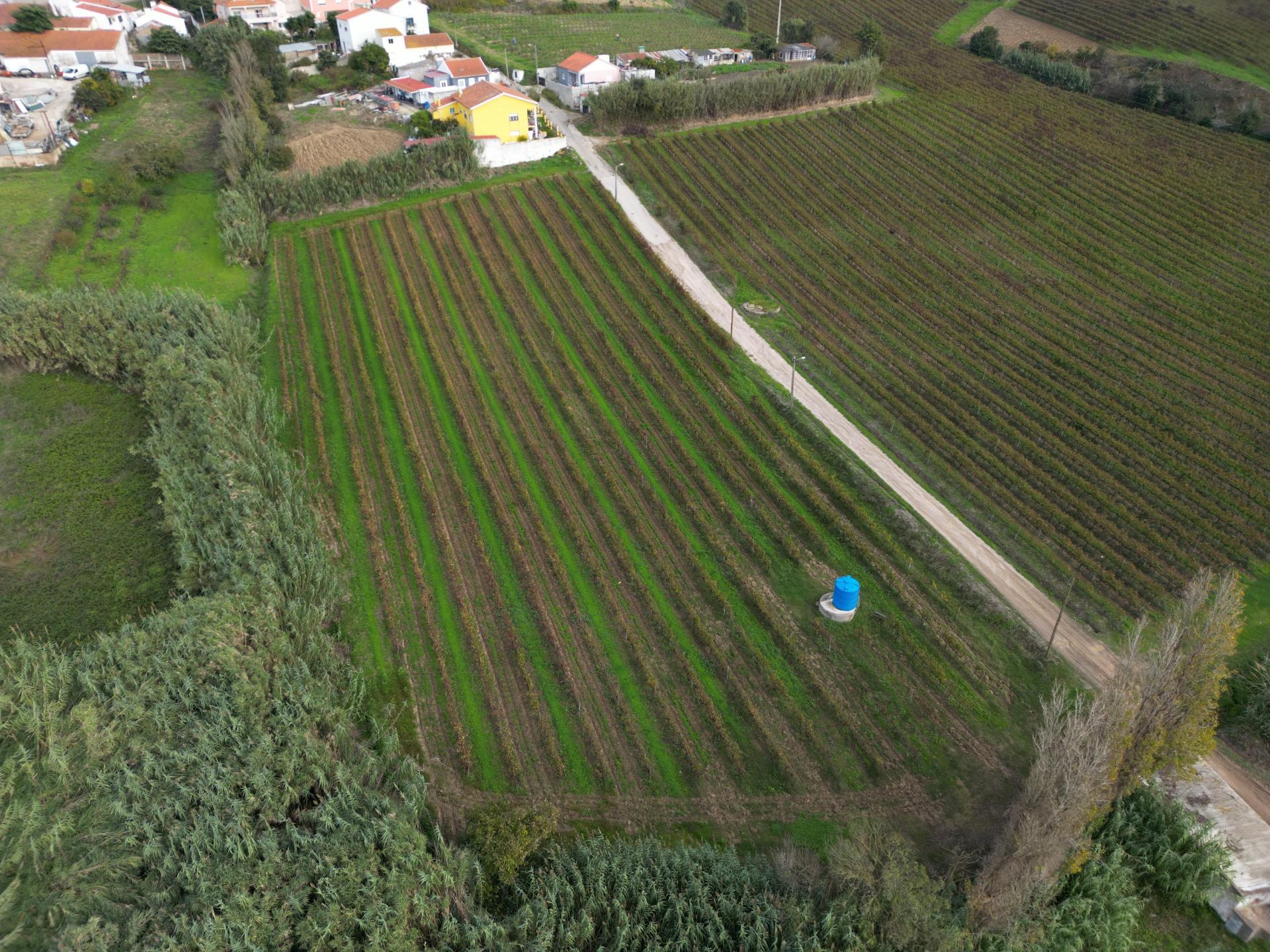 Terreno Urbano - Ventosa