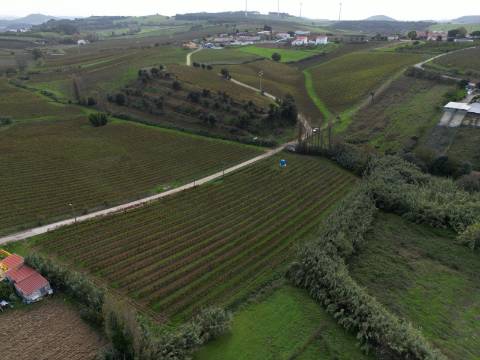Terreno Urbano - Ventosa