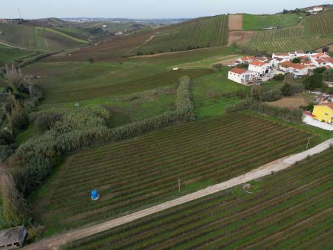 Terreno Urbano - Ventosa