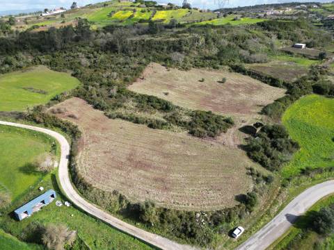 Terreno Rústico de 9.880m² - Sobral de Monte Agraço