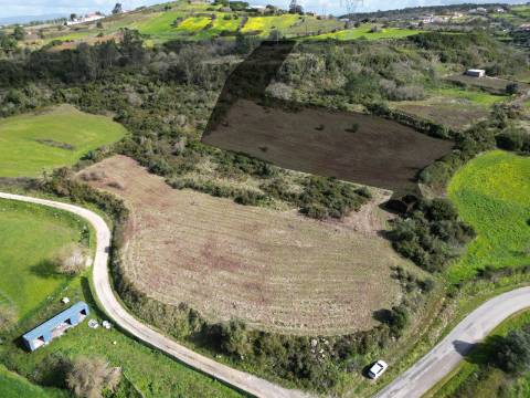 Terreno Rústico de 9.880m² - Sobral de Monte Agraço