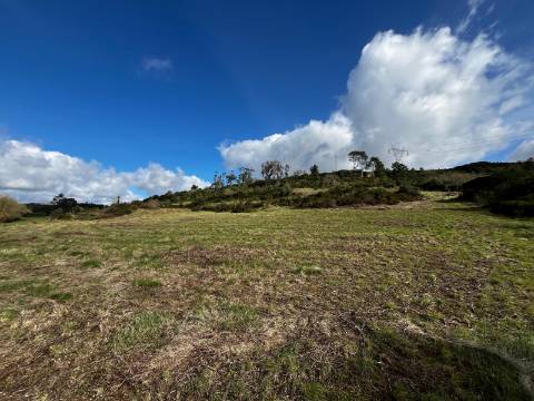 Terreno Rústico de 9.880m² - Sobral de Monte Agraço