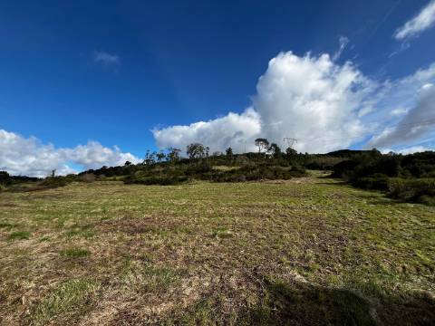 Terreno Rústico de 9.880m² - Sobral de Monte Agraço