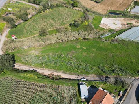 Terreno Rústico na Azueira com 9375m2