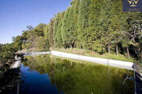 Palacete Histórico com 6,6 ha em Luso - Projeto Turístico com Licença Ativa e Elevado Potencial de Desenvolvimento