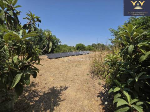 Moradia de Luxo Isolada em Quelfes - Oportunidade Única