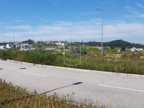Terreno com projeto aprovado em Alcobaça - Leiria