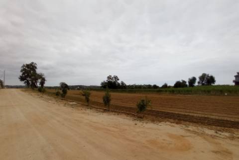 Terreno com projeto aprovado para Quinta Rural