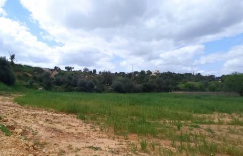 Terreno com projeto aprovado para Quinta Rural