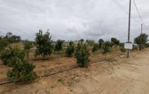 Terreno com projeto aprovado para Quinta Rural