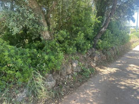 Terreno com projeto aprovado para Moradia de Luxo em Loulé