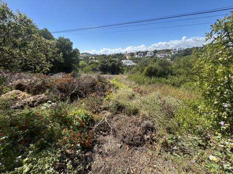 Terreno com projeto aprovado para Moradia de Luxo em Loulé