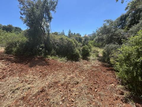 Terreno com projeto aprovado para Moradia de Luxo em Loulé