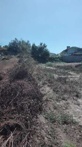 Terreno em Pinheiro da Bemposta