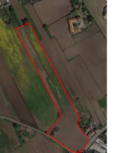 Terreno em Loureiro - Oliveira de Azeméis