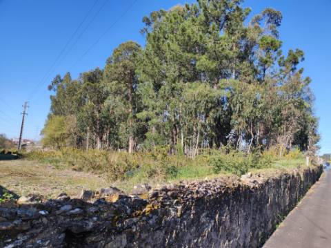 Terreno Urbano com 7500m2 em Souto, Santa Maria da Feira