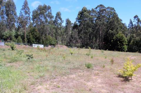 Terreno Rústico com 6.700 m2 em Souto
