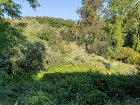 Lotes de terrenos para construção - Urbanização Quinta da Borralha