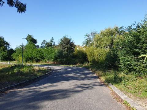 Lotes de terrenos para construção - Urbanização Quinta da Borralha