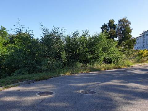 Lotes de terrenos para construção - Urbanização Quinta da Borralha