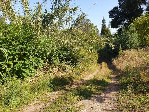 Lotes de terrenos para construção - Urbanização Quinta da Borralha