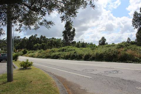Terreno com 6.579 m2 em São Paio de Oleiros