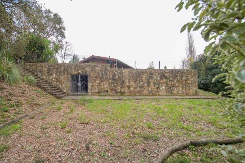Quinta - Oliveira de Azeméis