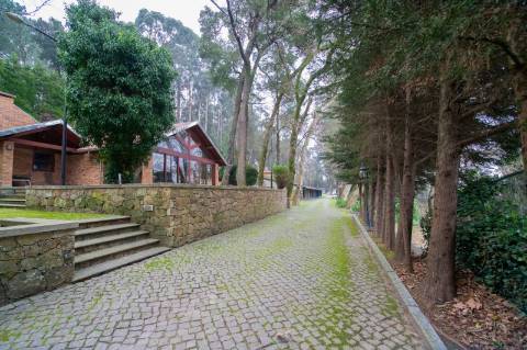 Quinta - Oliveira de Azeméis