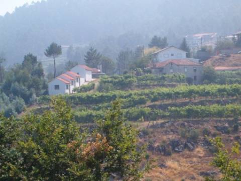 Quinta virada a sul em Cepelos