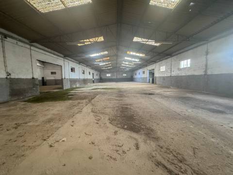 Pavilhão Industrial em Viseu