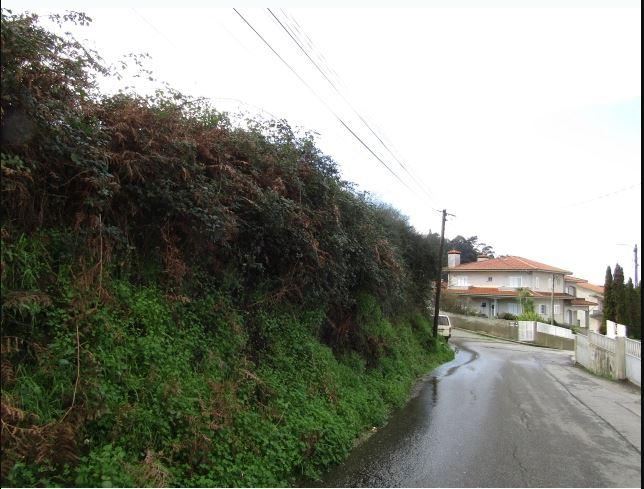 Terreno urbano em Nogueira da Regedoura