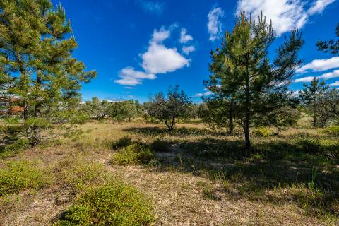 | Terreno para Loteamento | PIP Aprovado | AIRES - PALMELA |